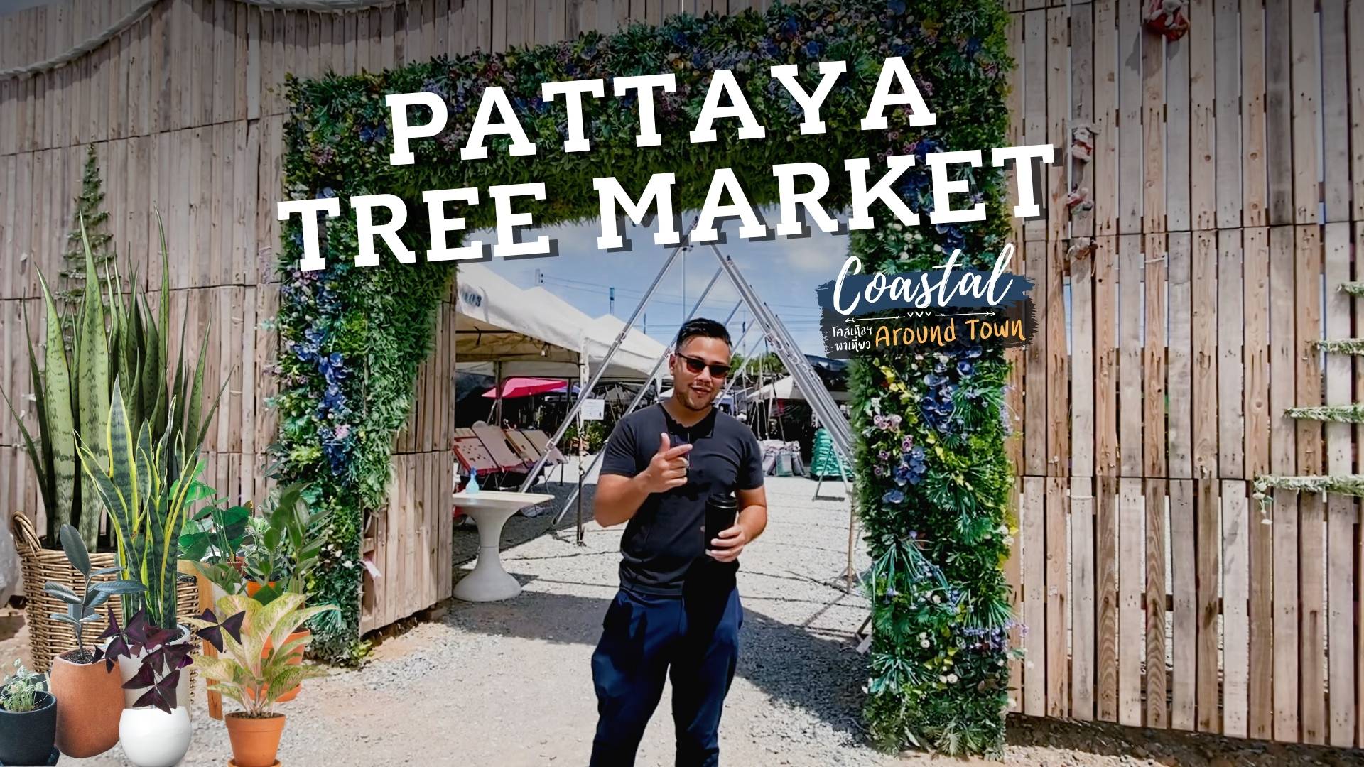 Coastal Around Town: Pattaya Tree Market